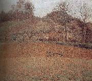 Camille Pissarro, fields